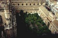 Sevilla - Courtyard of Orange Trees